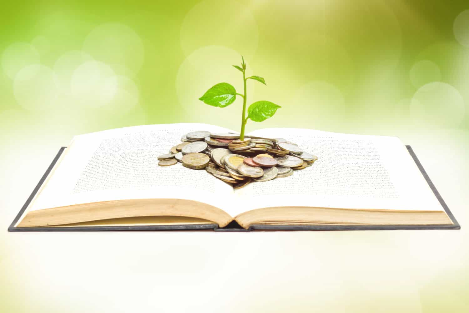 Loose change in an open book is sprouting a small plant