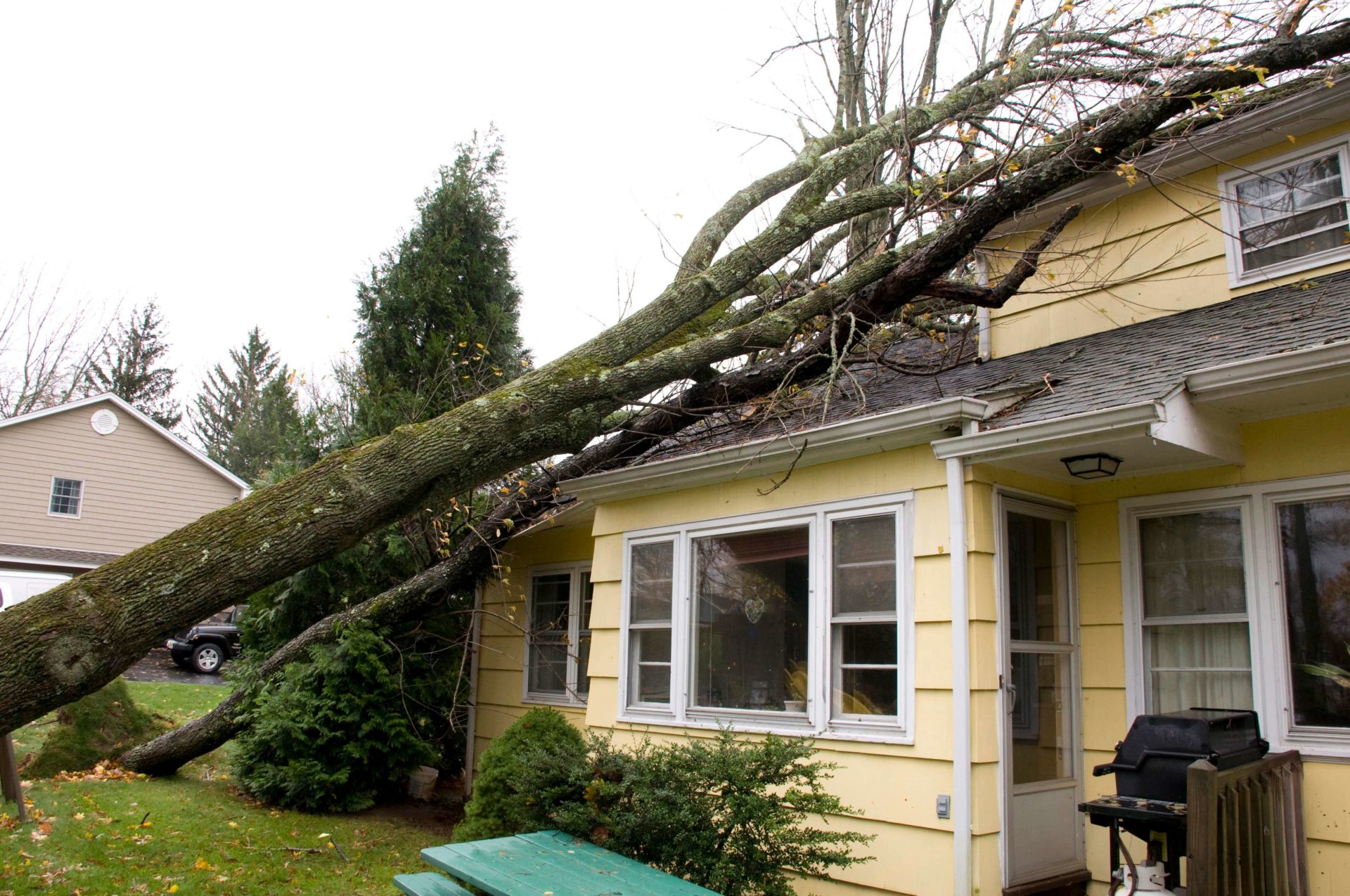 Tree fallen over on home